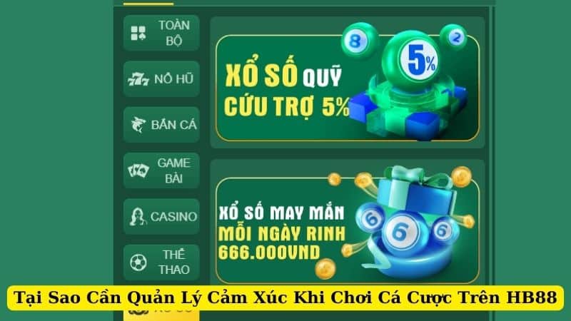 tai-sao-can-quan-li-cam-xuc-khi-choi-ca-cuoc-tren-hb88