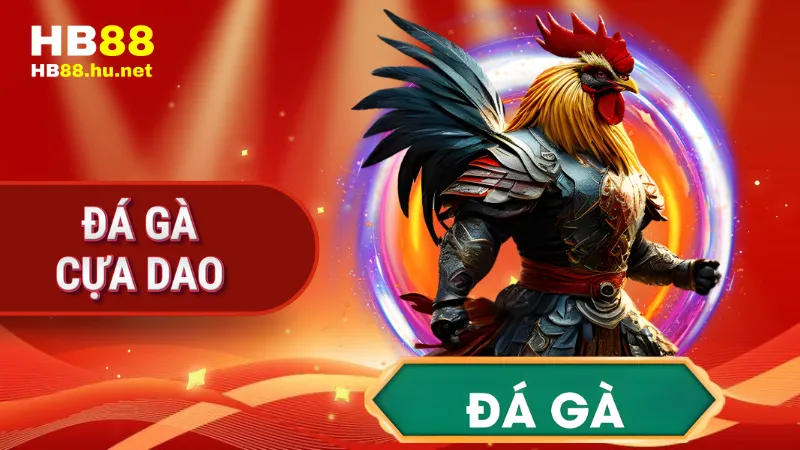 Đá gà cựa dao