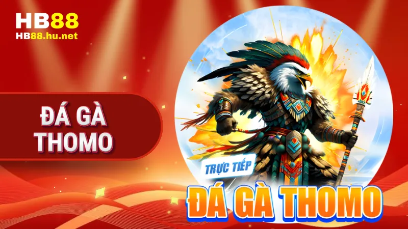 Đá gà Thomo